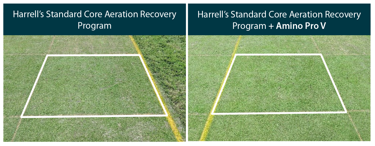 adding Amino Pro V to core aeration recovery